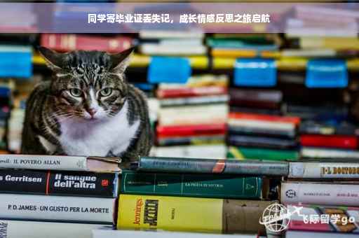 同学寄毕业证丢失记，成长情感反思之旅启航