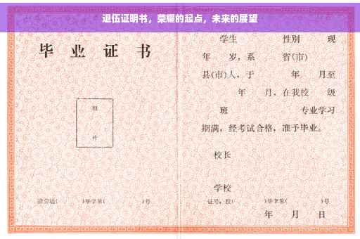 退伍证明书，荣耀的起点，未来的展望
