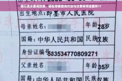 银行流水查询攻略，轻松掌握查询方法与注意事项全解析??