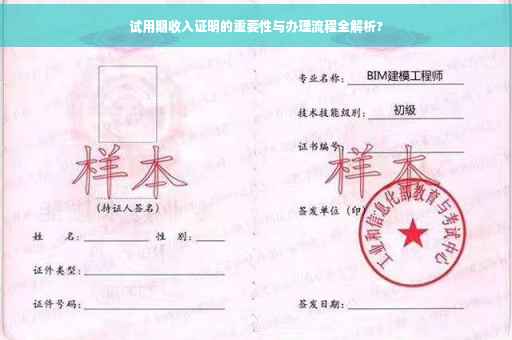 试用期收入证明的重要性与办理流程全解析?