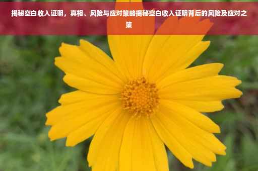 揭秘空白收入证明，真相、风险与应对策略揭秘空白收入证明背后的风险及应对之策
