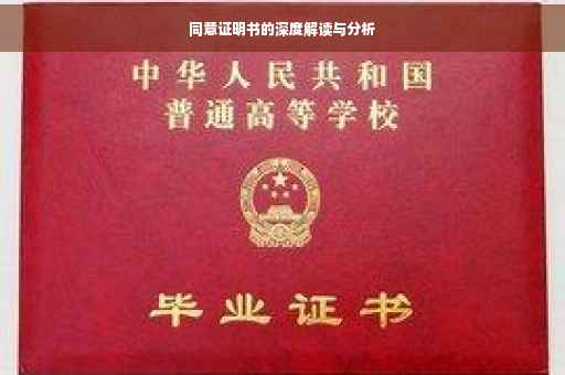 同意证明书的深度解读与分析