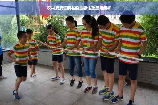 农村房房证明书的重要性及应用解析