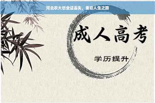 河北农大毕业证丢失，重启人生之路