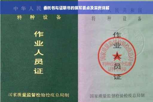 委托书与证明书的撰写要点及实例详解