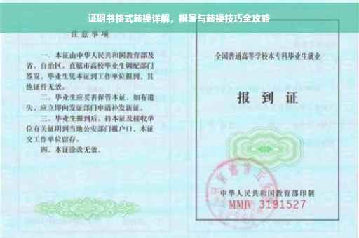证明书格式转换详解，撰写与转换技巧全攻略