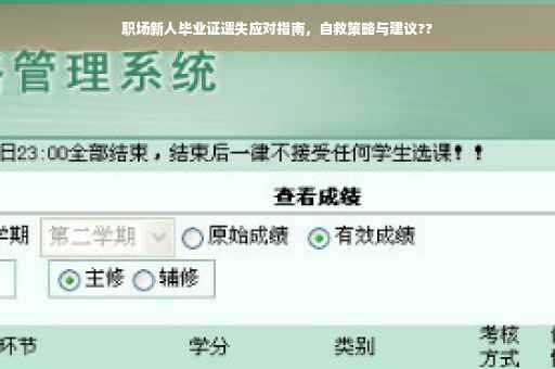 职场新人毕业证遗失应对指南，自救策略与建议??