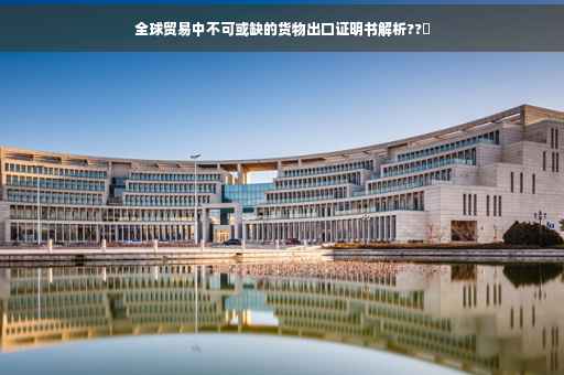 全球贸易中不可或缺的货物出口证明书解析??️