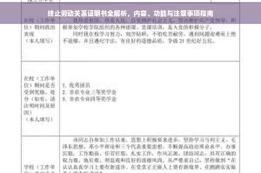 终止劳动关系证明书全解析，内容、功能与注意事项指南