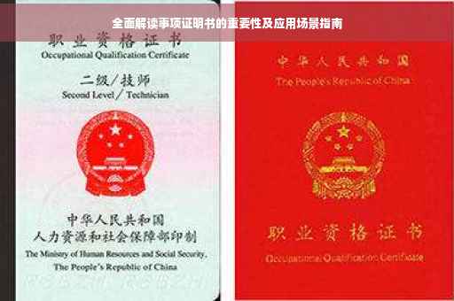 全面解读事项证明书的重要性及应用场景指南