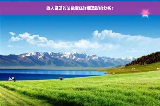 收入证明的法律责任详解及影响分析?