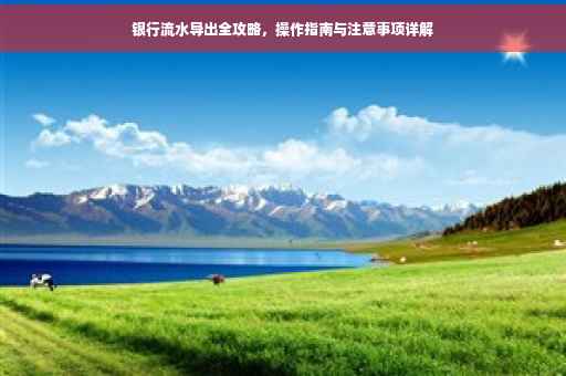 银行流水导出全攻略，操作指南与注意事项详解