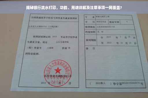 揭秘银行流水打印，功能、用途详解及注意事项一网覆盖?