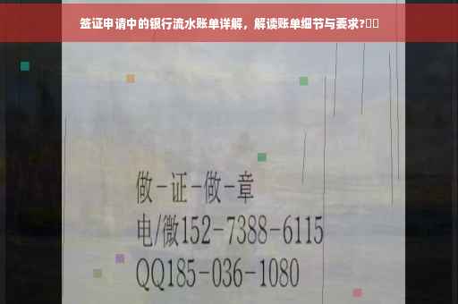 签证申请中的银行流水账单详解，解读账单细节与要求?⚡️