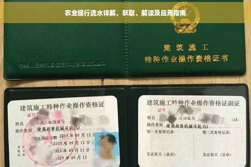 农业银行流水详解，获取、解读及应用指南