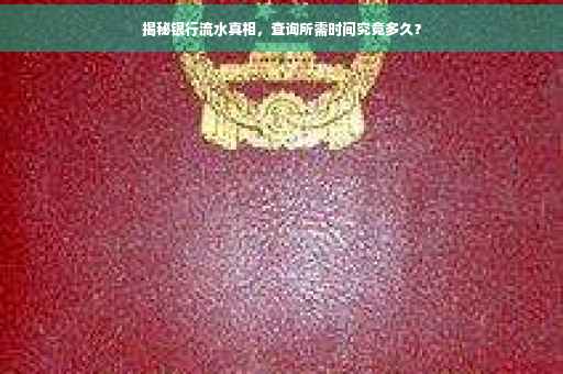 揭秘银行流水真相，查询所需时间究竟多久？