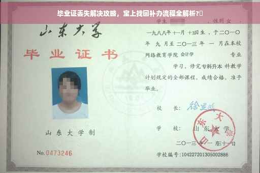 毕业证丢失解决攻略，宝上找回补办流程全解析?✨
