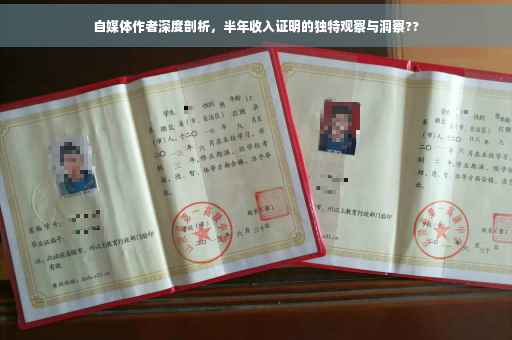 自媒体作者深度剖析，半年收入证明的独特观察与洞察??