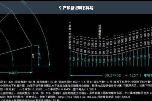 引产诊断证明书详解