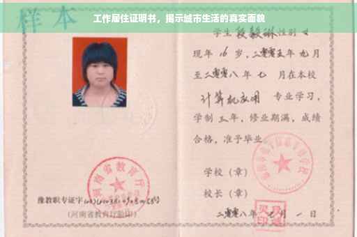 工作居住证明书，揭示城市生活的真实面貌