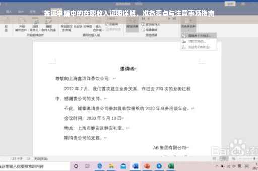 签证申请中的在职收入证明详解，准备要点与注意事项指南