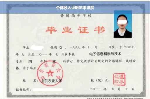 个体收入证明范本详解