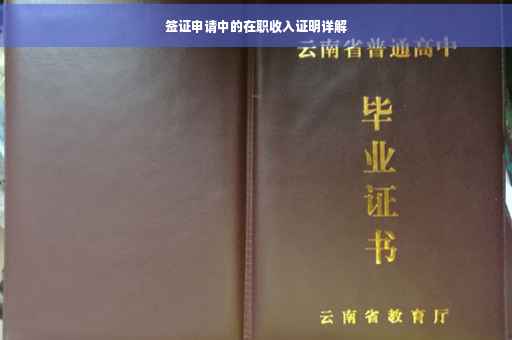 签证申请中的在职收入证明详解
