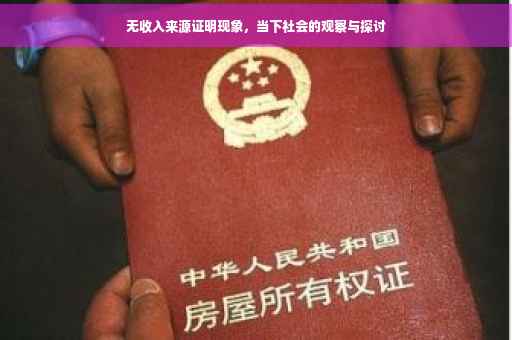 无收入来源证明现象,当下社会的观察与探讨 无收入来源证明现象,当下社会的观察与探讨