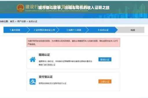 城市奋斗故事，出租车司机的收入证明之旅