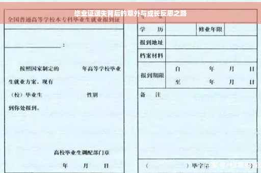 毕业证遗失背后的意外与成长反思之路