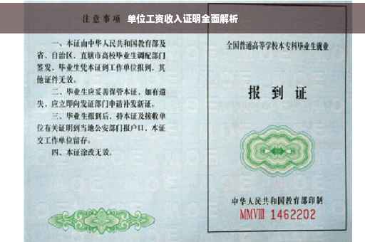 单位工资收入证明全面解析