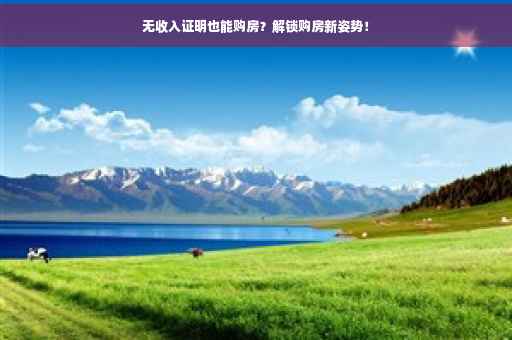 无收入证明也能购房？解锁购房新姿势！