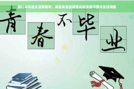 银行半年流水深度解析，窥探资金流转背后的消费习惯与生活镜像