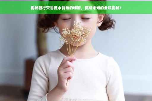 揭秘银行交易流水背后的秘密，你所未知的全貌揭秘?