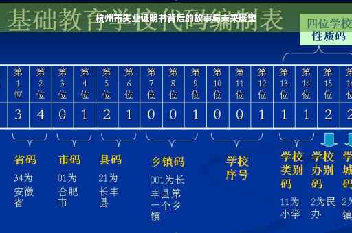 杭州市失业证明书背后的故事与未来展望