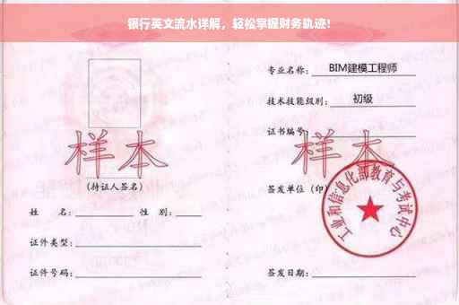 银行英文流水详解，轻松掌握财务轨迹！