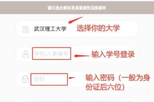 银行流水概念及其重要性深度解析