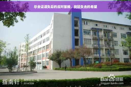 毕业证遗失后的应对策略，找回失去的希望