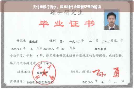 支付宝银行流水，数字时代金融新纪元的解读
