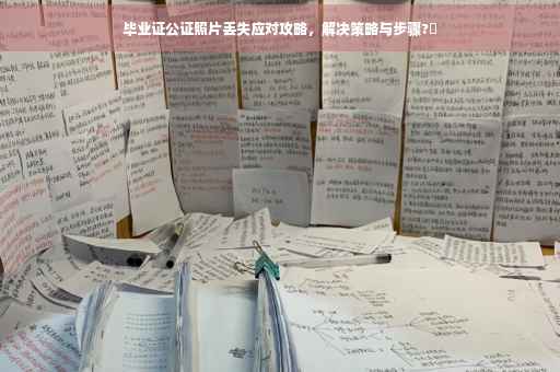 毕业证公证照片丢失应对攻略，解决策略与步骤?✨