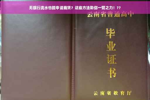 无银行流水也能申请商贷？这些方法助你一臂之力！??