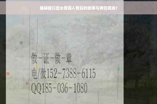 揭秘银行流水担保人背后的故事与责任担当?