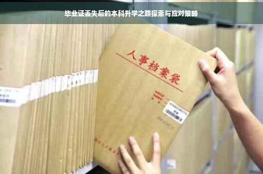 毕业证丢失后的本科升学之路探索与应对策略