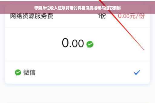 李湘单位收入证明背后的真相深度揭秘与细节洞察