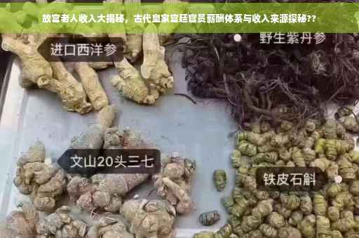 故宫老人收入大揭秘，古代皇家宫廷官员薪酬体系与收入来源探秘??