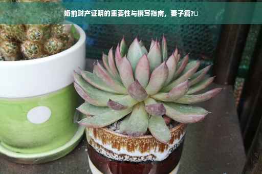 婚前财产证明的重要性与撰写指南,妻子篇?✨ 婚前财产证明的重要性与撰写指南,妻子篇?✨