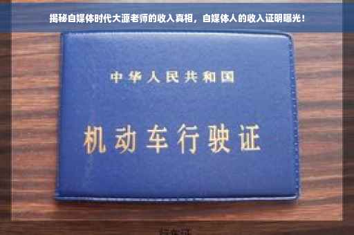 揭秘自媒体时代大源老师的收入真相，自媒体人的收入证明曝光！