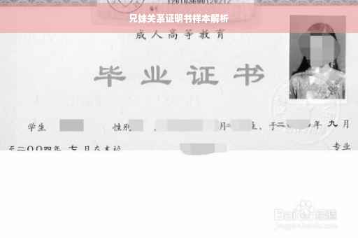 兄妹关系证明书样本解析