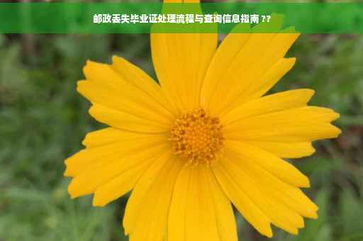 邮政丢失毕业证处理流程与查询信息指南 ??