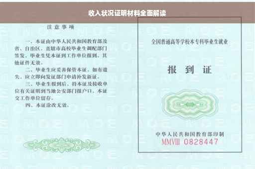 收入状况证明材料全面解读